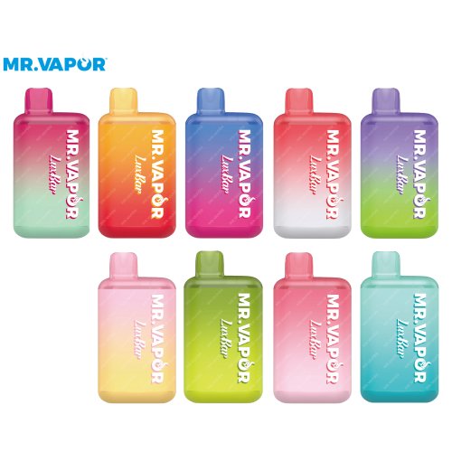 MR VAPOR LUXBAR 5% SEL NIC 11ML 5000 BOFFÉES JETABLE